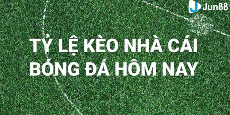 bóng đá trực tiếp kèo nhà cái Kèo nhà cái được xác định dựa trên yếu tố nào?
