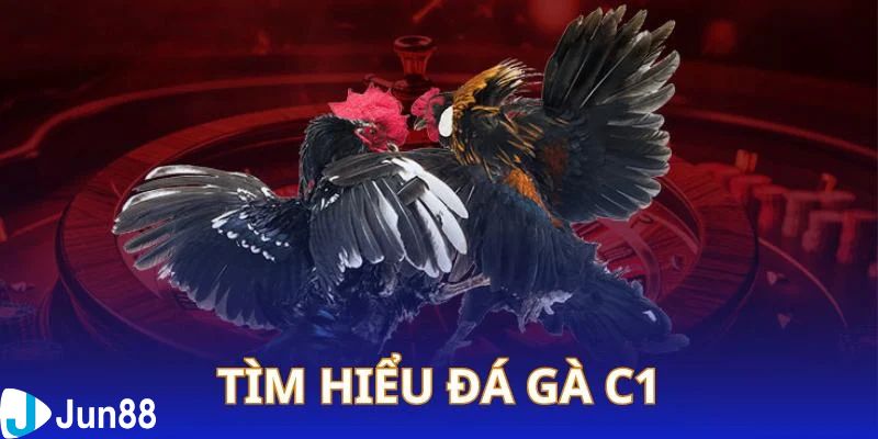 đá gà hôm nay c1 Giải thích khái niệm đá gà hôm nay c1