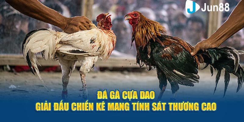 đá gà trực tiếp cựa dao Các loại kèo cược hấp dẫn trong đá gà trực tiếp cựa dao