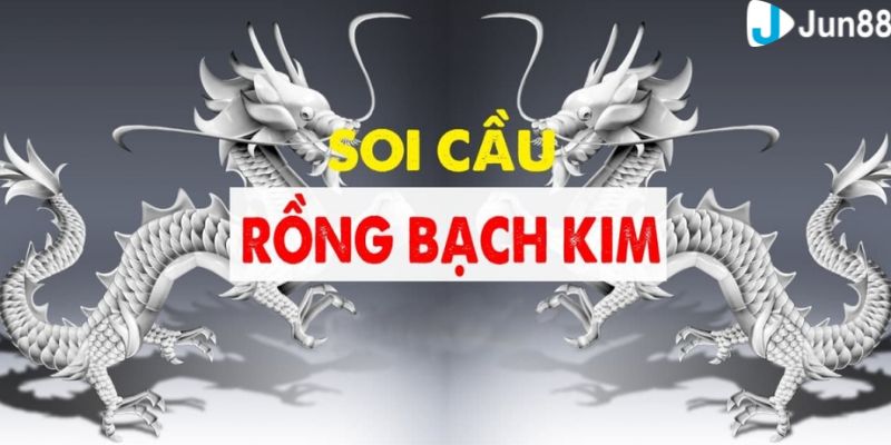 lô đề bạc nhớ rồng bạch kim Tìm hiểu về lô đề bạc nhớ rồng bạch kim