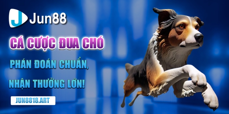 Cá cược đua chó