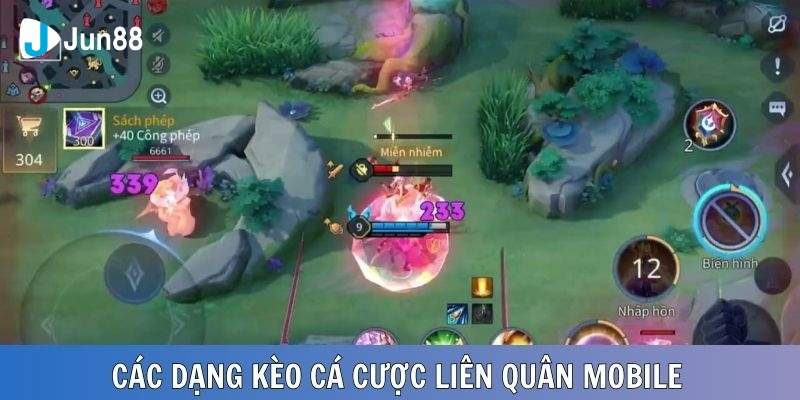 Liên Quân